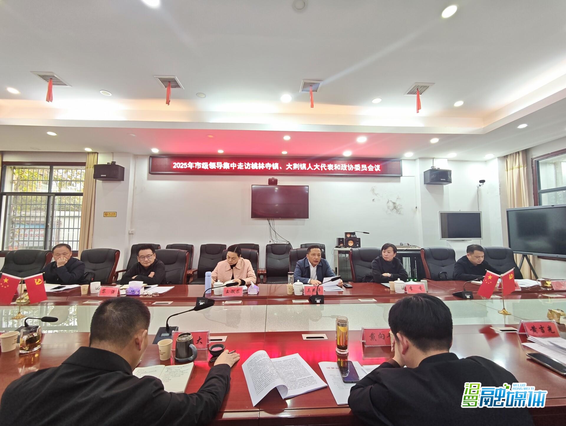 王敏求走访桃林寺镇、大荆镇人大代表和政协委员