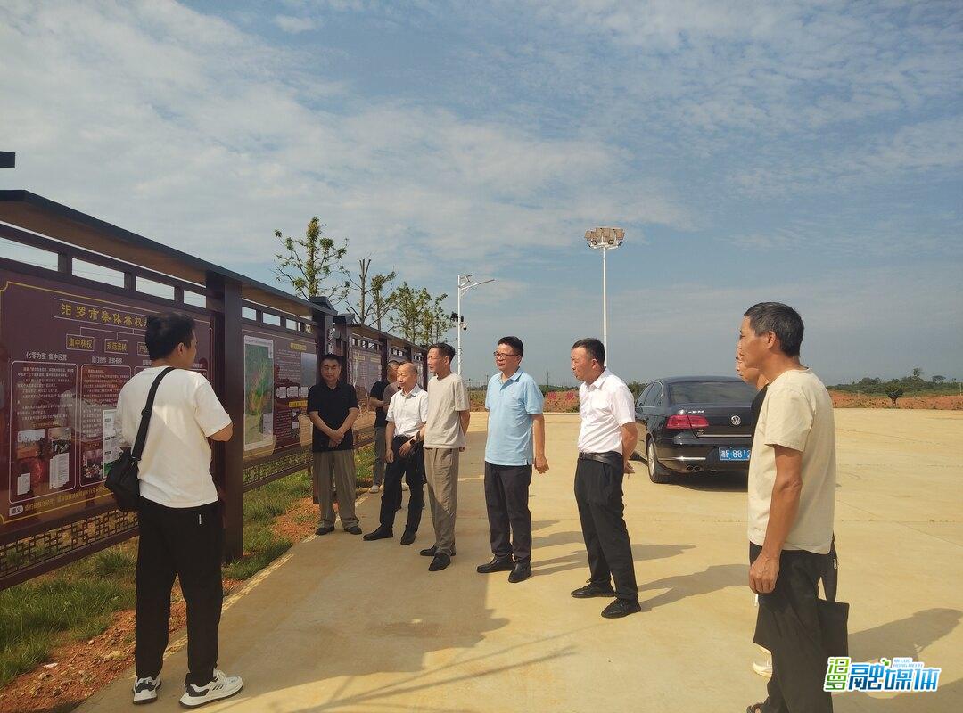 汨罗市人大常委会调研全市林下经济发展情况