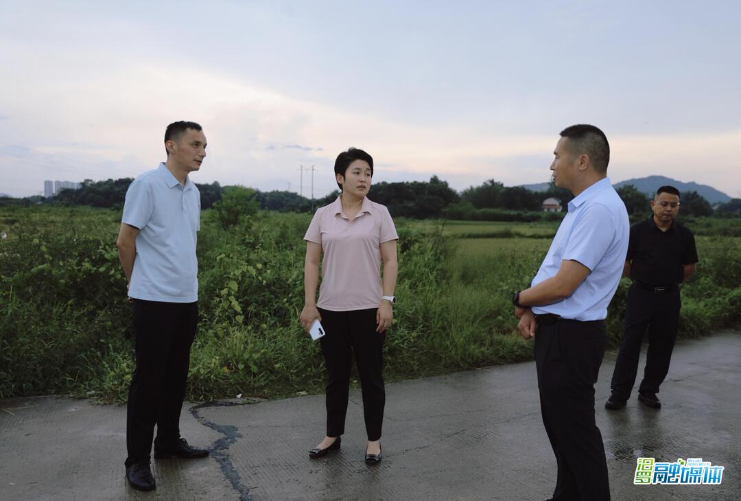 马慧赴弼时镇调研督导人大换届选举、生态环保和安全生产工作