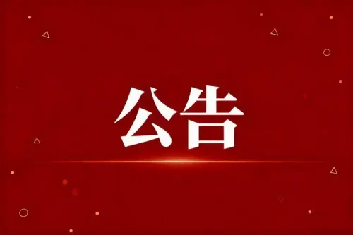 关于选举日有关事项的公告